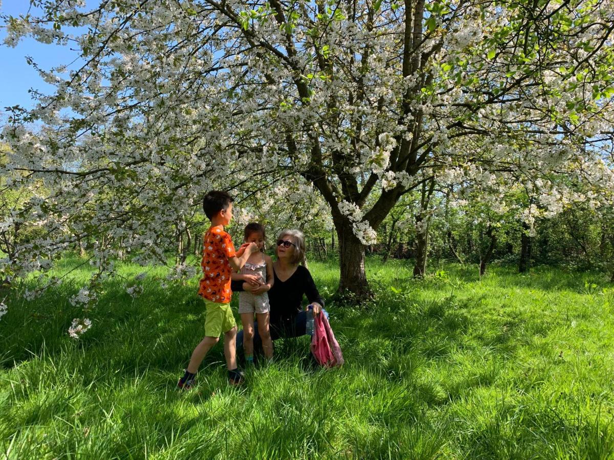 Oostvoornsch Gastenverblijf Oostvoorne Exteriör bild