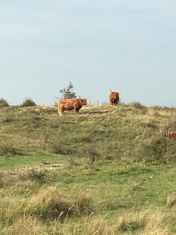 Oostvoornsch Gastenverblijf Oostvoorne Exteriör bild