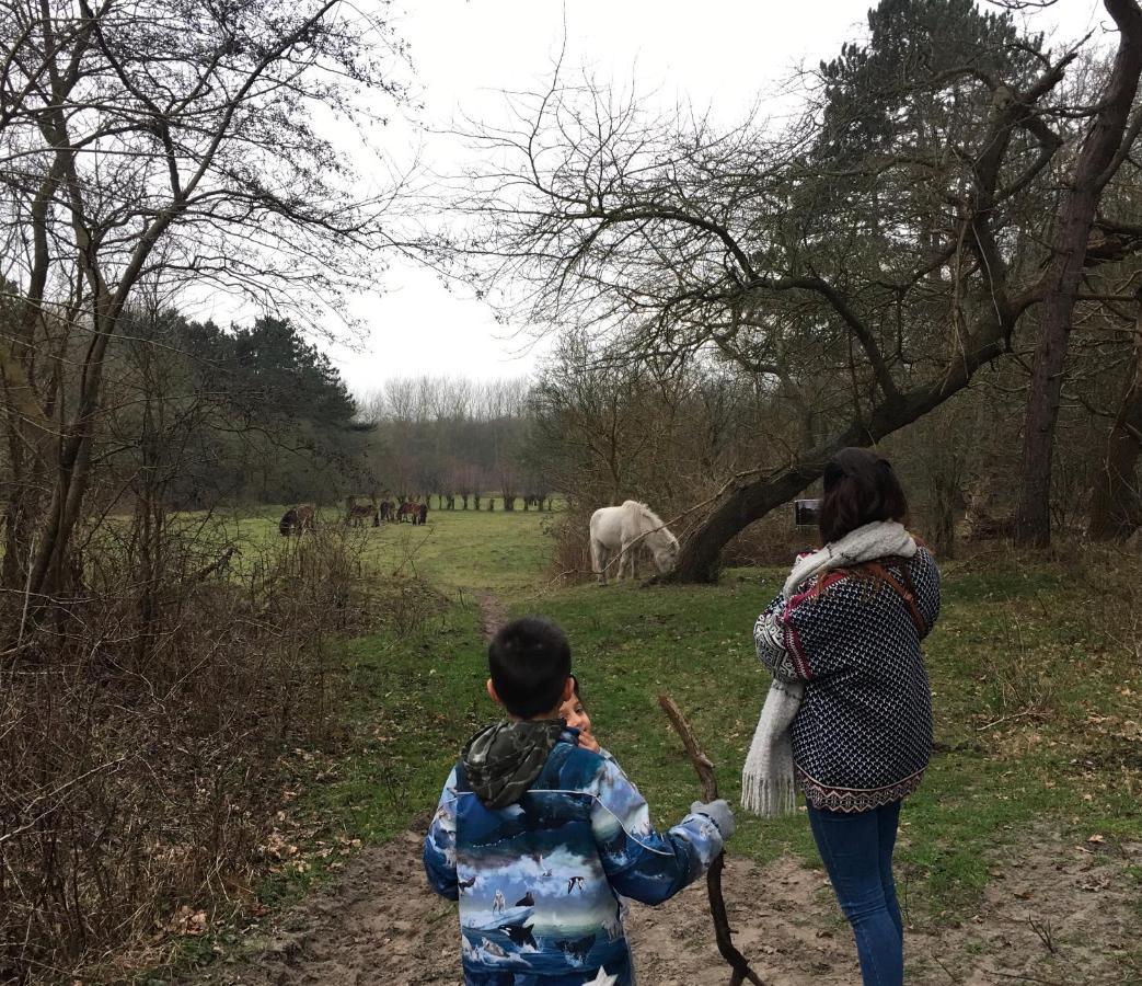 Oostvoornsch Gastenverblijf Oostvoorne Exteriör bild