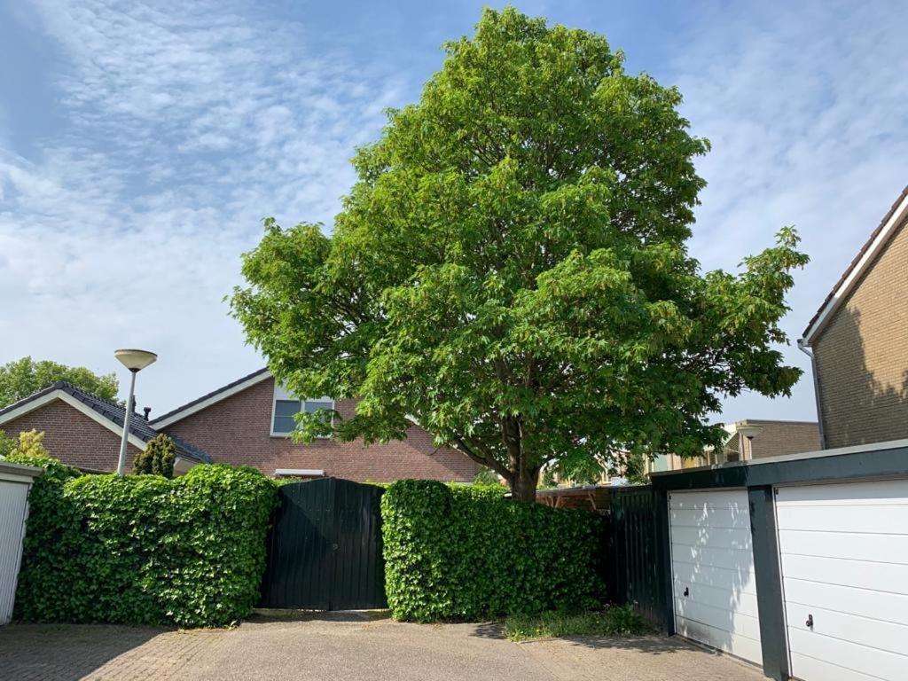 Oostvoornsch Gastenverblijf Oostvoorne Exteriör bild